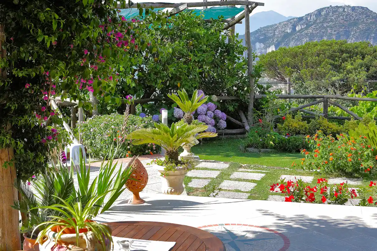 Lemon garden